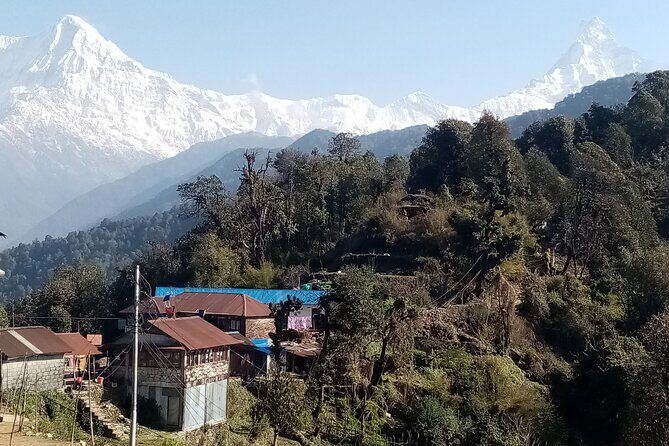 Pokhara: Annapurna Base Camp Trek Multi-Day Guided Tour - Chhomrong to Bamboo: bridges, forests, and Gurung village views