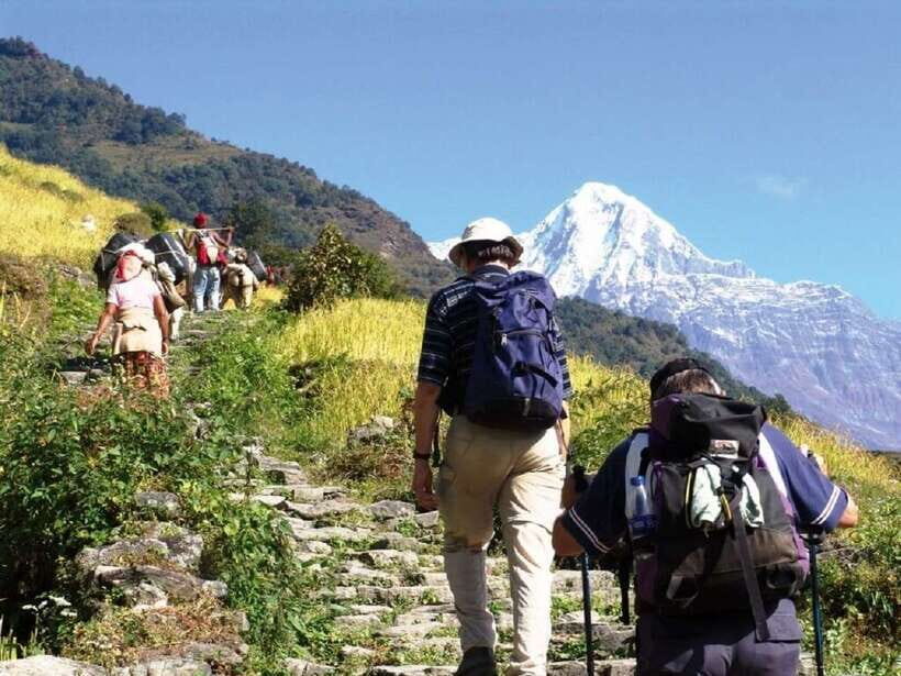 Pokhara: Annapurna Day Hike with Panoramic Views - Key highlights you’ll feel right away
