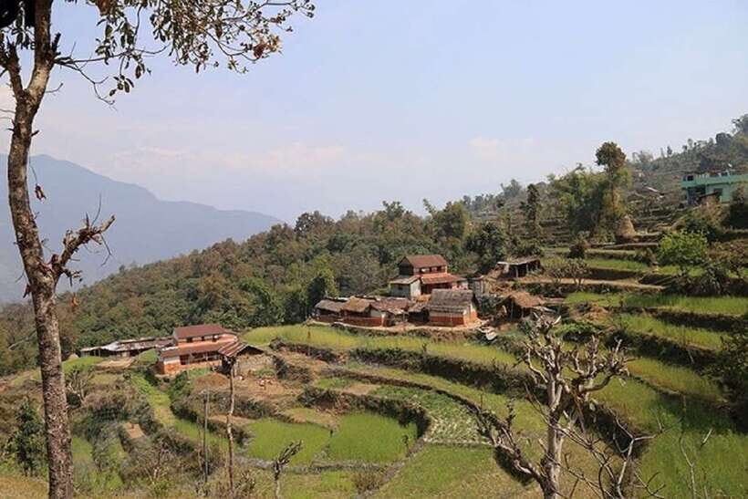 Pokhara: Annapurna Day Hike with Panoramic Views - A one-day trek that actually makes sense from Pokhara
