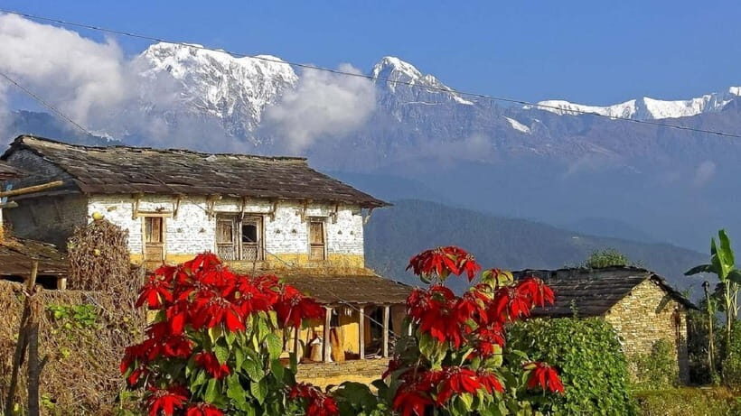 Pokhara: Annapurna Day Hike with Panoramic Views - Australian Camp: where the Annapurna views become the point