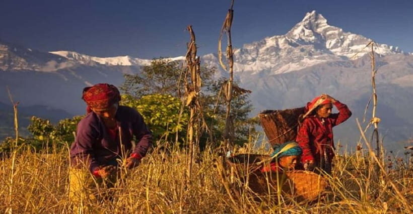 Pokhara: Annapurna Day Hike with Panoramic Views - What to bring so the day feels easy