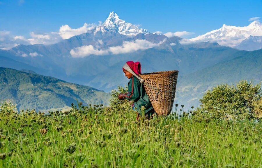 Pokhara: Annapurna Foothills Private Day Hike with Transfers - What You’ll See: The Annapurna Range From Foothills Viewpoints