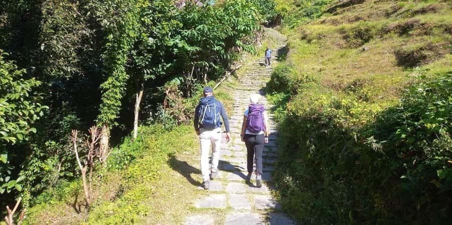Pokhara: Day Hike to Australian Camp - Who should book this day hike, and who should skip it