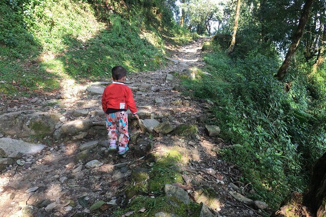 Pokhara: Day Hiking form Dhampus to Australian Camp - Why this Dhampus–Australian Camp hike hits in half a day