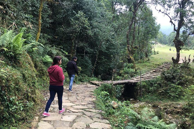 Pokhara: Day Hiking form Dhampus to Australian Camp - Getting going: hotel pickup, the drive, and the early start vibe