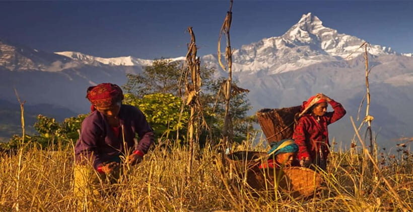 Pokhara: Day Hiking to Australian Base Camp with Lunch - The middle photo stops: short walks, big framing opportunities