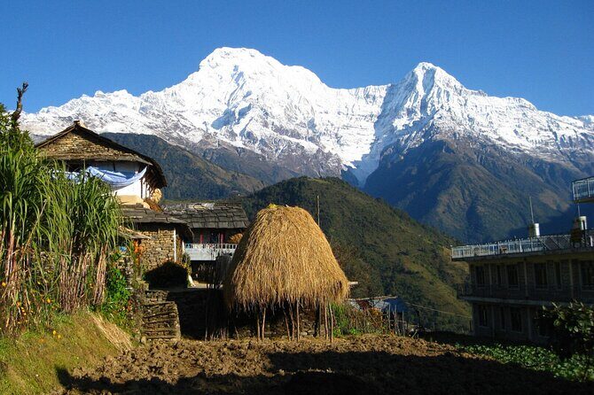Pokhara: Dhampus Easy Trek for Families with YoungKids 2 Day Tour - Why Dhampus Is a Smart Pick for Families Near Pokhara