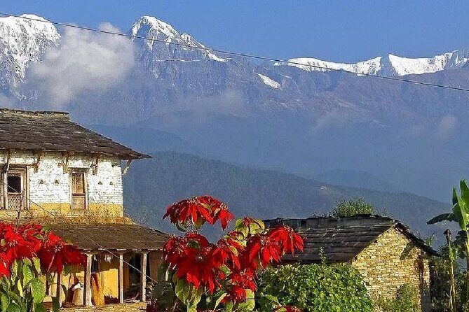 Pokhara: Dhampus Easy Trek for Families with YoungKids 2 Day Tour - Your Guide, Your Pace, and Safety With Young Kids