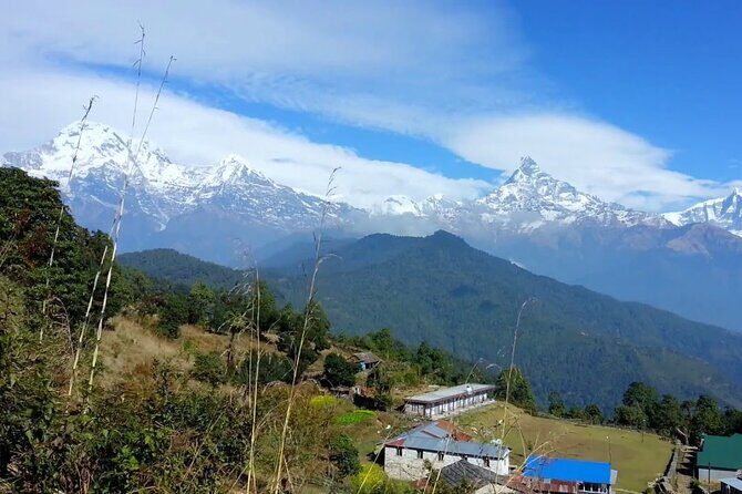 Pokhara: Dhampus Easy Trek for Families with YoungKids 2 Day Tour - Who This Trek Suits Best (And Who Might Want Something Else)