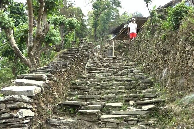 Pokhara: Dhampus Easy Trek for Families with YoungKids 2 Day Tour - Should You Book the Pokhara to Dhampus 2-Day Family Trek?