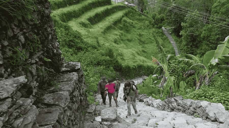 Pokhara: Guided Day Hike From Dampus To Australian Base Camp - Walking the Trail: Forest, Terraces, and Mountain Frames
