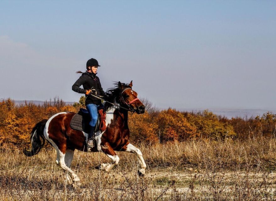 Pokhara: Horseback Adventure - Key things to know before you go
