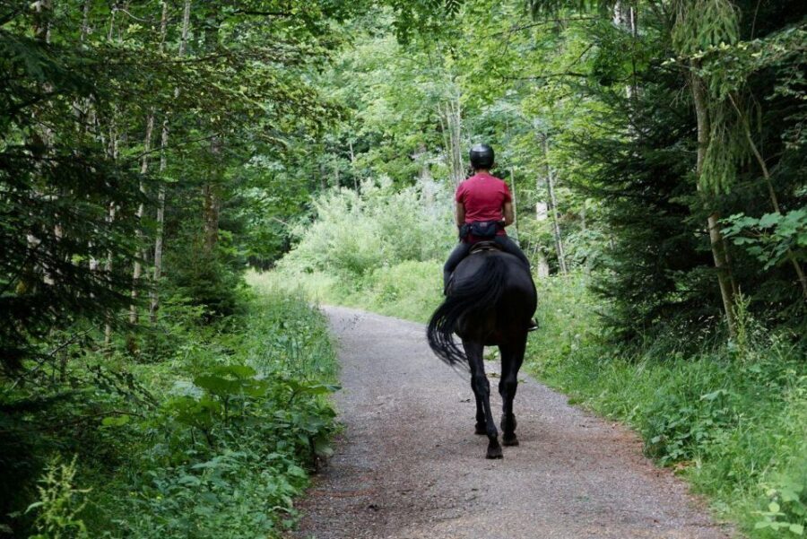 Pokhara: Horseback Adventure - The 2.5-hour route: forests, lake paths, and the pace you can actually enjoy