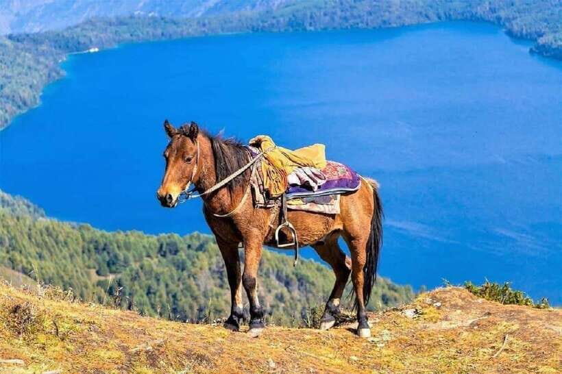 Pokhara: Horseback Riding Adventure with Hotel Pickup - 2.5 hours of motion: forests, trails, and lake scenery