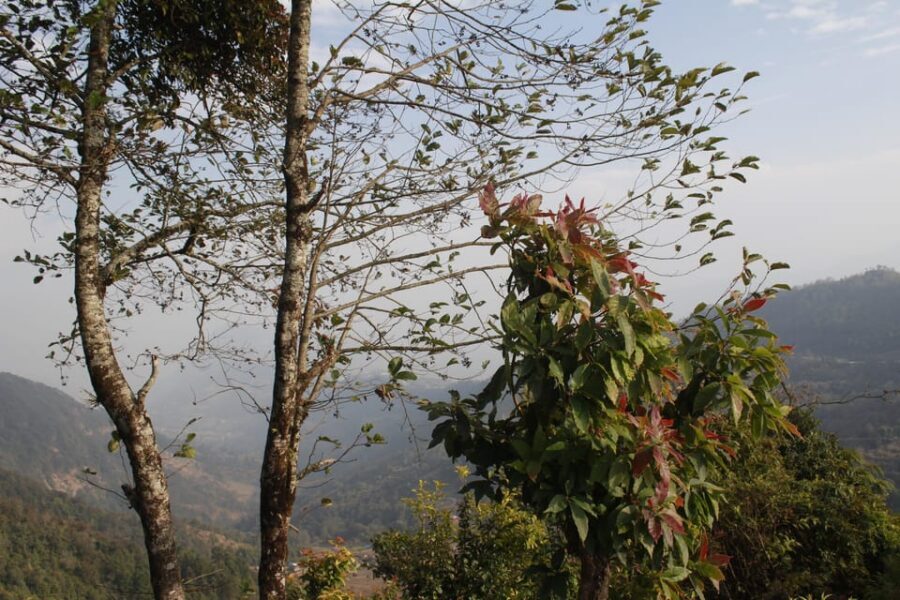 Pokhara: One night camping, campfire stay at Australian camp - Sunrise over Annapurna and Dhaulagiri: the moment you came for