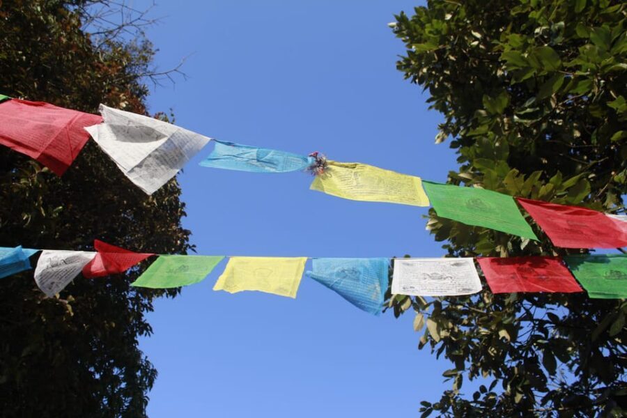 Pokhara: One night camping, campfire stay at Australian camp - The return trek: fading views, village life, and the trip’s pacing