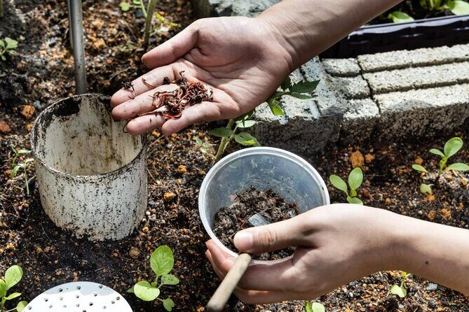 Pokhara: Organic Farm Tour and Cooking Class at Durku - Cooking Nepali dishes the hands-on way with a local chef