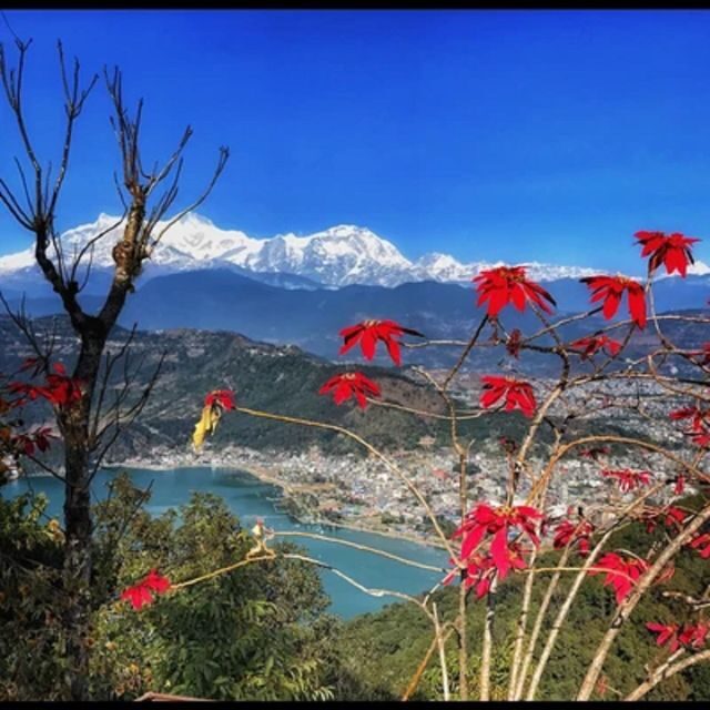 Pokhara: Pokhara Highlights Tour by Bus - The Shiva Stop: Statue Photos With a Longer Stretch