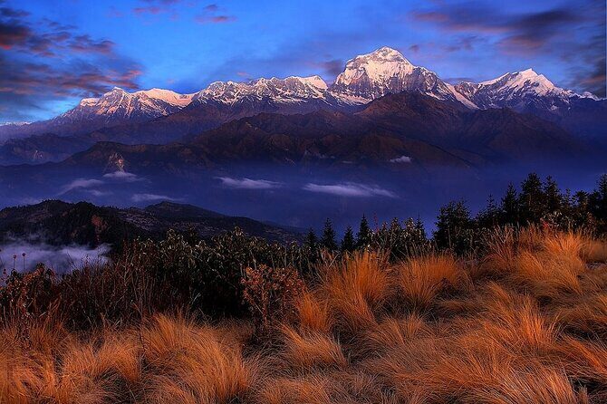 Pokhara: Poon Hill Ghorepani Short Trek - Permits and guide support: what you’re really buying (besides paperwork)