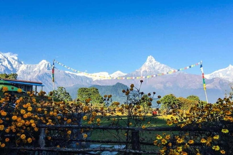 Pokhara: Poon Hill Trek - Why this 4-day Poon Hill plan fits Nepal’s mountain reality