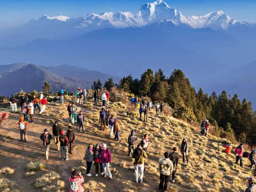 Pokhara: Poon Hill Trek - Day 2: Ulleri to Ghorepani through rhododendron forests
