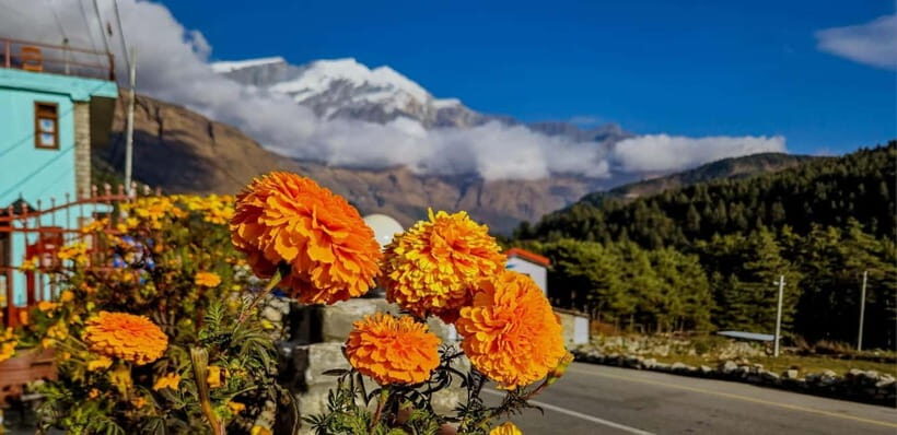 Pokhara: Private Half Day Hiking & Boating over the mountain - Who should book this Pokhara private hike and boat tour