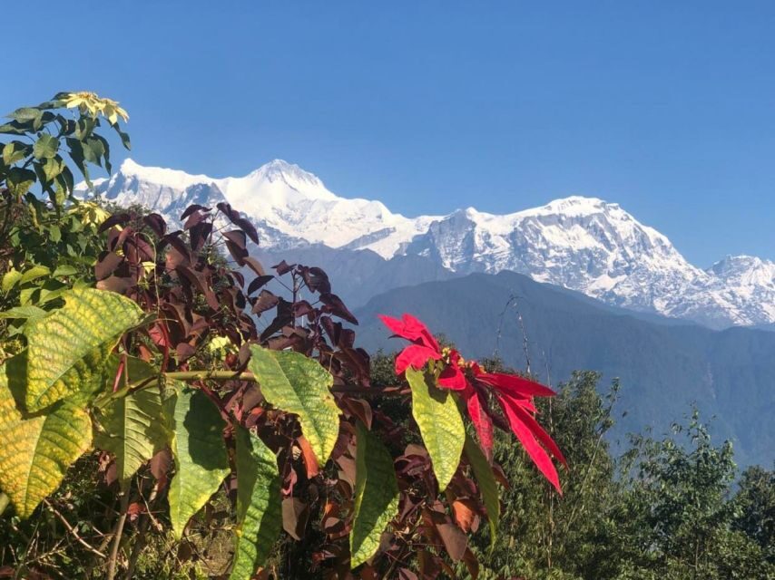 Pokhara: Sunrise Tour to Sarangkot - Who This Tour Fits Best (and Who Should Skip It)