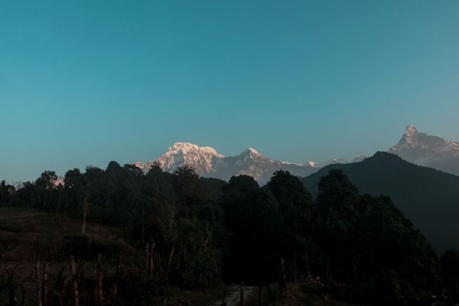Pokhara:4-Day Ghorepani Poon Hill Guided Trek via Ghandruk - Day 3: Ghorepani Down via Tadapani to Ghandruk Village