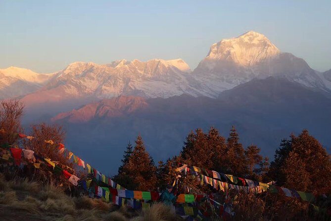 Poon Hill Trek - 04 Days - Pokhara to the Trails: Why This 4-Day Trek Feels Like the Right Size