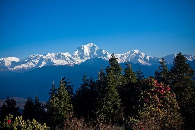 Poon Hill Trek From Pokhara - 3 Nights 4 Days - Day 3: Pun Hill sunrise—3,190 m viewpoint drama in a short climb