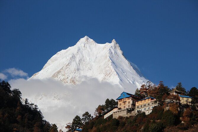 Private 12-Day Manaslu Circuit Trekking in Kathmandu - Sama Gaon: pine/rhododendron forests, then a rest day with Pung Gyan Gompa