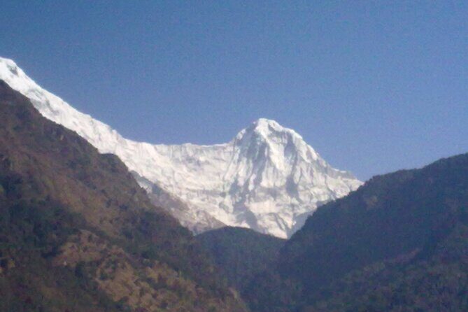 Private 4 - Day Poon Hill Trekking - Rhododendron Forests to Tadapani: The Change of Scenery You’ll Feel in Your Legs