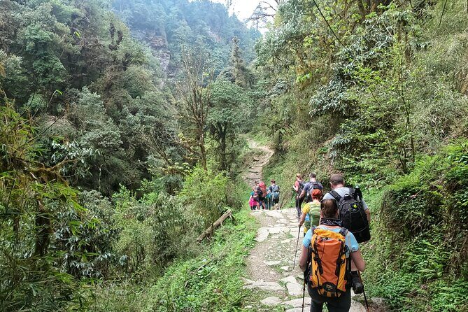 Private 4 - Day Poon Hill Trekking - Transport, Permits, and the Stuff That Keeps Your Trek From Becoming a Project