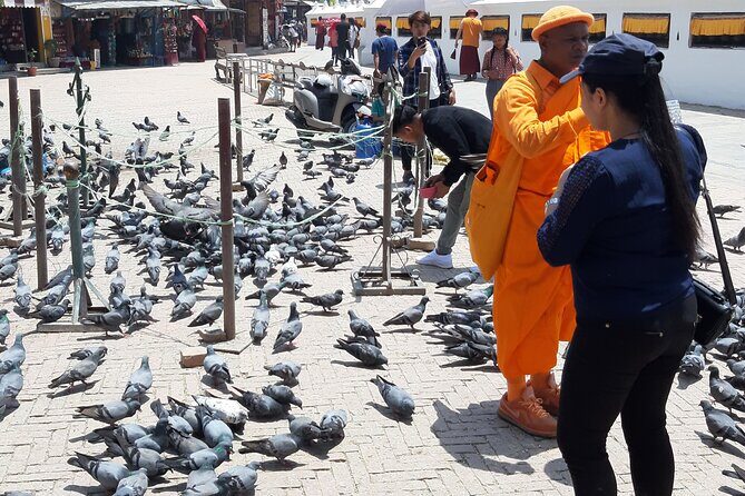 Private Day Tour at the World Heritage Site in Kathmandu Valley - Price and what you’re really buying for $90