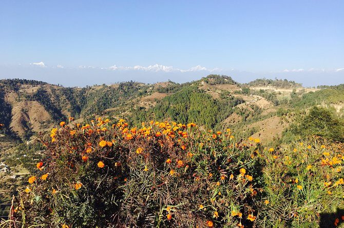 Private Day Tour - Sacred Journey to Namo Buddha - Entrance fees included: a simple way to control your total cost