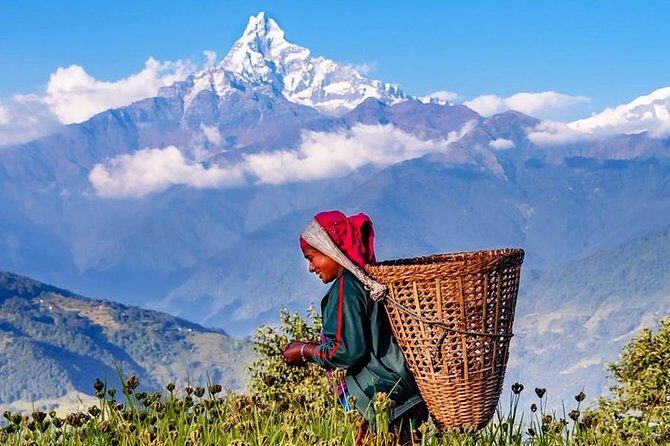 Private Full-Day Hike in the Annapurna Foothills in Pokhara - Forest Steps Up to Dhampus Gurung Village