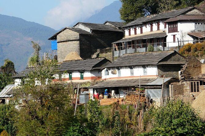 Private Full-Day Hike in the Annapurna Foothills in Pokhara - Meeting in Lakeside Pokhara and Heading to Phedi by Private Vehicle