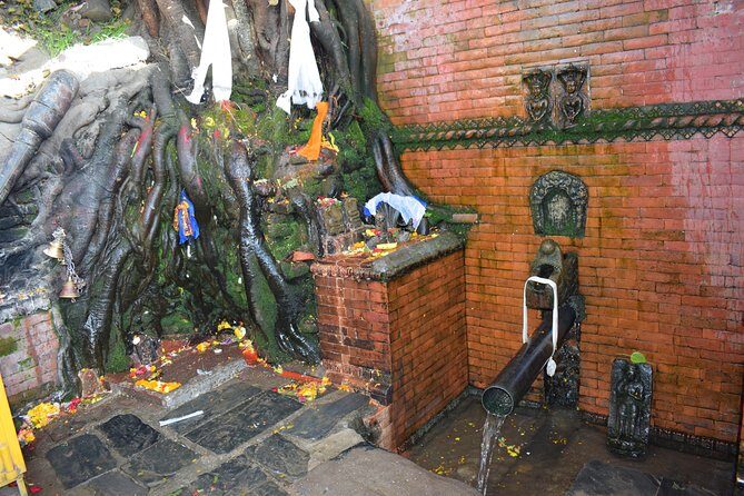 Private Half Day Budhanilkantha Tour - Stop 2: Watching Daily Puja and Understanding the “Why”