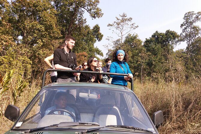 Private Jeep Safari (8-10 hrs.)inside Chitwan National Park. - Chitwan’s “who might show up” list: tiger, rhino, elephant, and bird drama