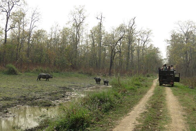 Private Jeep Safari (8-10 hrs.)inside Chitwan National Park. - Best months for Chitwan: October to April, with March and April leading the way