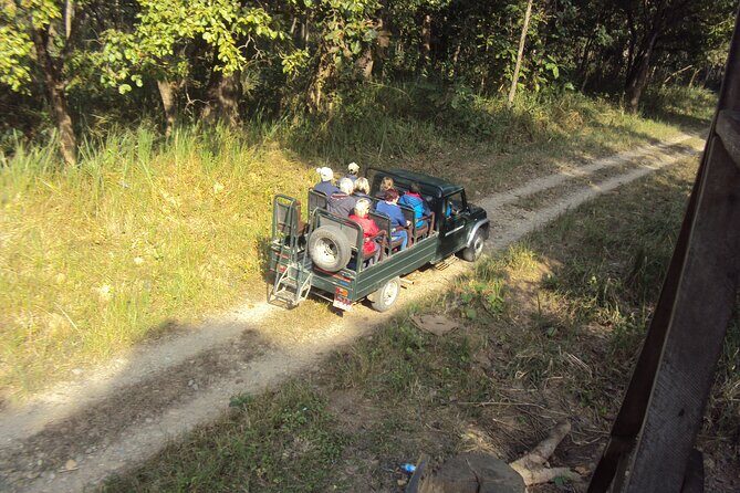 Private Jeep Safari (8-10 hrs.)inside Chitwan National Park. - Price and value: $196.66 per person for 8–10 hours of Jeep time