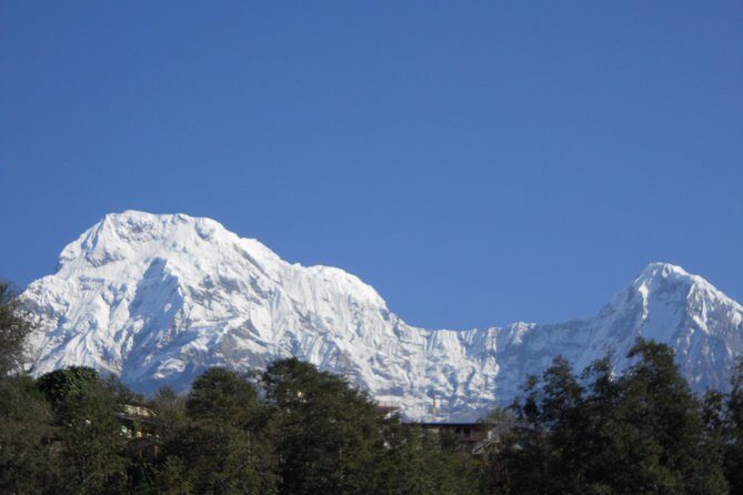 Private Multi Day Nepal Poon Hill Trekking Tour - Guides you can trust: professionalism on the ground