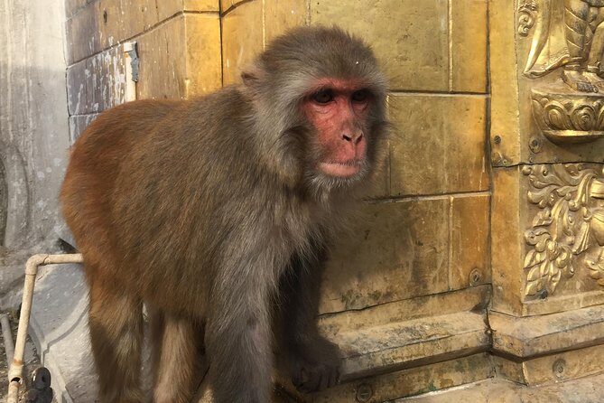 Privet Day Tours in Kathmandu Nepal - Why Boudhanath Works So Well for a First Kathmandu Day
