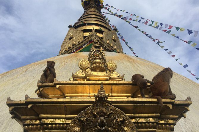 Privet Day Tours in Kathmandu Nepal - Earthquake-Soaked History: Seeing 2015 in the Real World