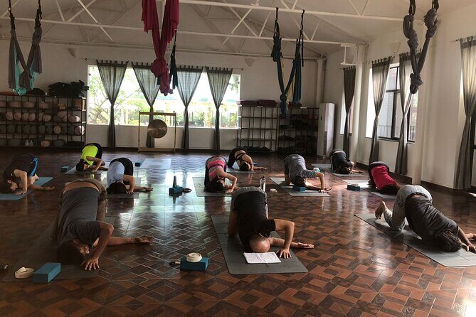 Regular Yoga for all levels of practitioners in Kathmandu - Price and Value: What $2,506 Really Buys You