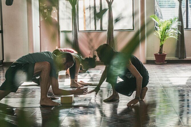 Regular Yoga for all levels of practitioners in Kathmandu - What Your 75-Minute Vinyasa Flow Can Include