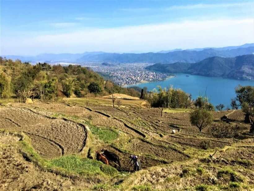 Seti George and Thrilling Suspension Bridge Tour at Pokhara - Quick Tips That Make the Bridge and Gorge Go Smoother