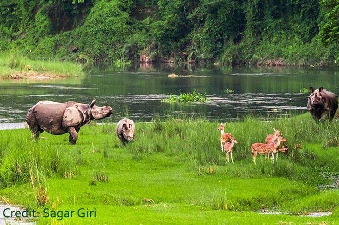 Transport Cover Nepal - A 9-Day Nepal Road Trip With a Private-Car Pace