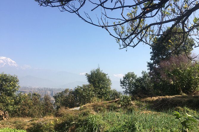 Unique Easy Hiking to Foxing Hill from Pokhara - Pace and timing: how the 3–4 hours stays manageable