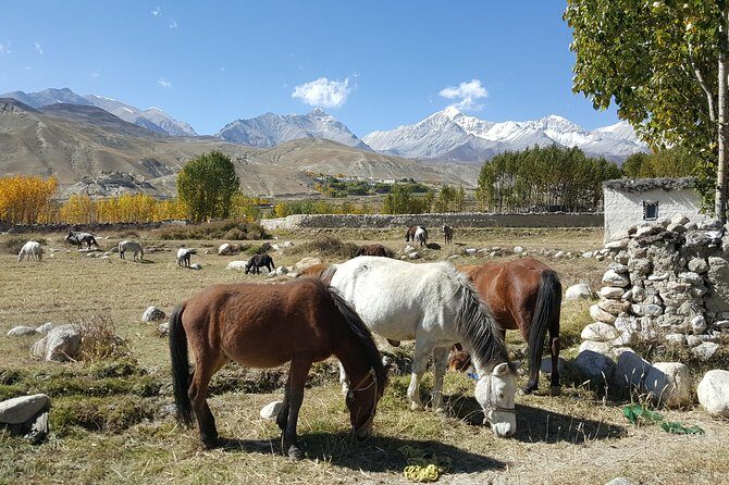 Upper Mustang Tiji Festival Trek 2024 - 18 Days - Why Upper Mustang and Tiji feel different here